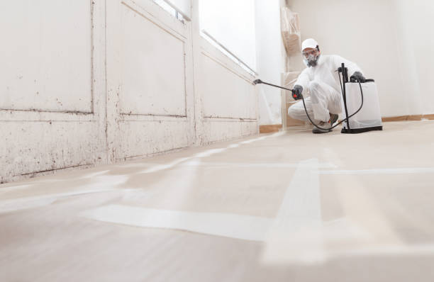 24/7 Emergency Commercial Mold Remediation experts in Plainfield, NJ